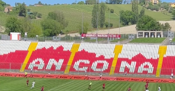 Calcio / Ancona, Silvetti scopre le sue carte: ci sarà una cordata locale per la Serie D